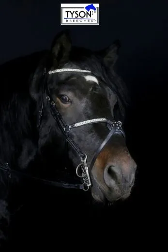 Mexikanisches Reithalfter Trense  DEISTER Leder Pony VB WB X Full Glitzer Springer Schwarz o Braun ab 69�