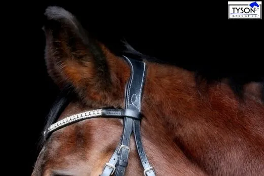 Mexikanisches Reithalfter Trense  DEISTER Leder Pony VB WB X Full Glitzer Springer Schwarz o Braun ab 69�