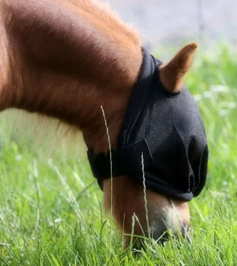 Fliegenhaube Fliegenmaske Pony VB WB Ex Full Kaltblut mit oder ohne Ohren Viel Augenfreiheit Schwarz