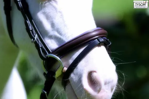 Trense Trio Butterweiche Schwarz/ Braun / Lila Strass Stirnband MS S incl. Z�gel Minishetty Shetty