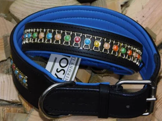 Lederhalsband Bunt Rainbow Leder Blau unterlegt M L XL BREIT ! Halsband Leder Hundehalsband
