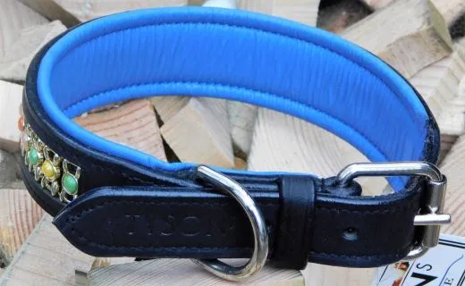 Lederhalsband Bunt Rainbow Leder Blau unterlegt M L XL BREIT ! Halsband Leder Hundehalsband