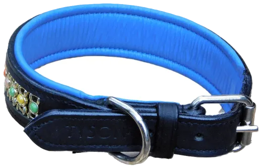 Lederhalsband Bunt Rainbow Leder Blau unterlegt M L XL BREIT ! Halsband Leder Hundehalsband