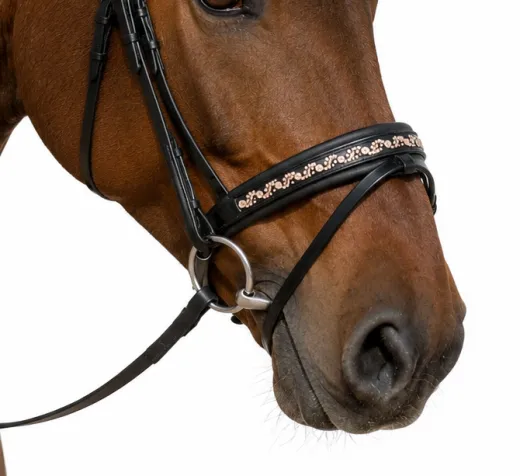 Trense DIONI ergonomisch Genick Steg Patches Leder Schwarz VB WB X Full Rose/ Champagner Beige Noriker
