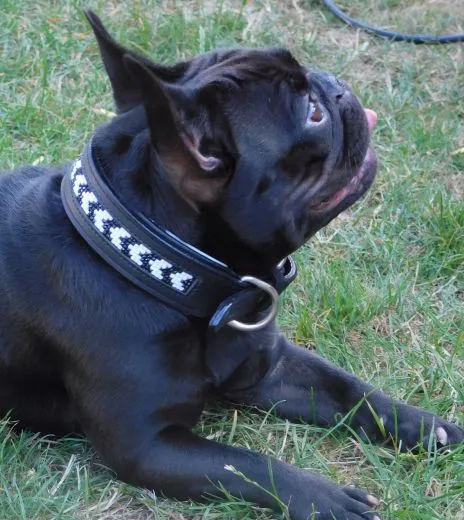 Lederhalsband INDIGO Leder Schwarz o Braun M L XL BREIT Perlen Indianer Halsband Leder Breit