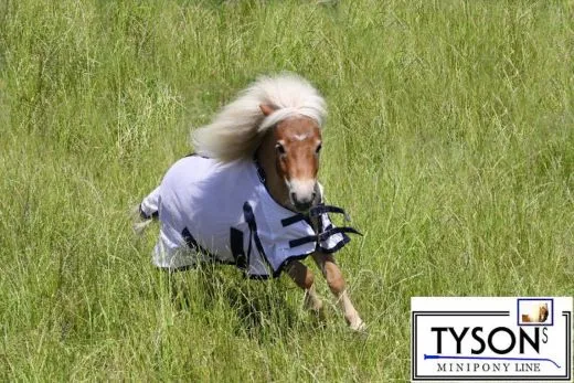 Fliegendecke wei� mit Halsteil, abnehmbar Netz 55 65 70 75 80 85 90 95 100 110 cm