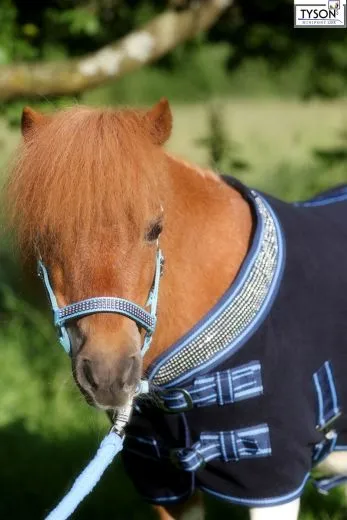 Abschwitzdecke Warakass Glitzer Blau Schwarz 60 65 70 75 80 85 90 95 100 cm Rckenlnge