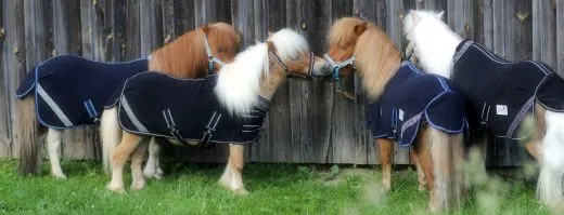 Abschwitzdecke Warakass Glitzer Blau Schwarz 60 65 70 75 80 85 90 95 100 cm Rckenlnge