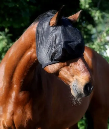 Fliegenhaube Pony VB WB X Full Fliegenmaske mit o. ohne Ohren Fliegenschutz viel Augenfreiheit Schwarz