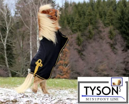 Paradedecken Fleece Abschwitzdecke Fleece 60 65 70 95 100 110 cm Parade Abschwitz Decke