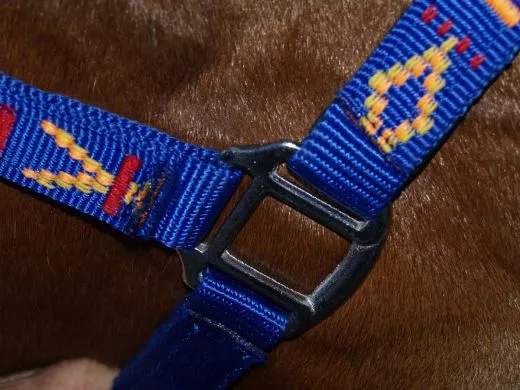 Nylon Halfter Indianer Style NUR NOCH PONY Neon Nylonhalfter unterlegt