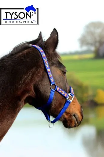 Nylon Halfter Indianer Style NUR NOCH PONY Neon Nylonhalfter unterlegt