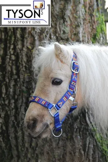 Nylon Halfter Indianer Style NUR NOCH PONY Neon Nylonhalfter unterlegt