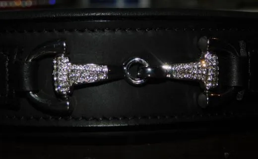 Halsband Leder Gebiss Bit S M L Schwarz extra Breit Glitzer Glitzerhalsband Hohe Zugkraft