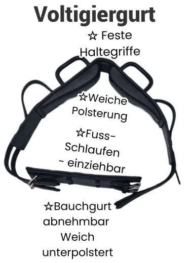 Voltigier Gurt Reithilfe Reitgurt 2 Fu� Schlaufen MS S P Minishetty Shetty Pony Leder FEST !