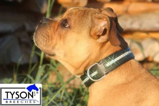 Hundehalsband Leder Schwarz Gr. M L XL Strass Extra Breit