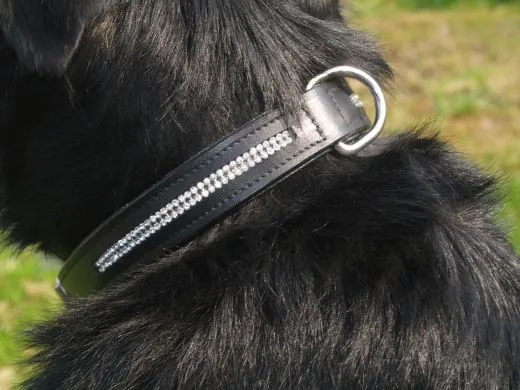 Hundehalsband Leder Schwarz Gr. M L XL Strass Extra Breit