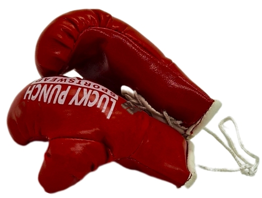 Mini Deko Boxhandschuhe für den Autospiegel Lucky Punch Rot
