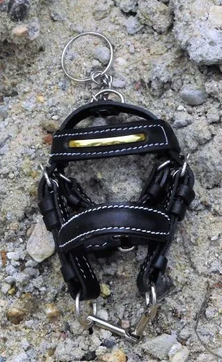 Schl�sselanh�nger Kl. Trense mit Gebiss und Schl�sselring