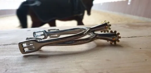 Sporen R�dchensporen Rad Sporen Silber / Gold- Farben