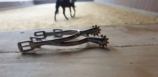 Sporen R�dchensporen Rad Sporen Silber / Gold- Farben