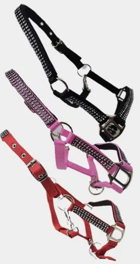 Nylon Halfter Hilly SA Glitzer Minishetty Shetty Glitzerhalfter Nylonhalfter Schwarz Rot Rosa Glitzerhalfter