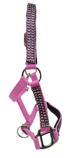 Nylon Halfter Hilly SA Glitzer Minishetty Shetty Glitzerhalfter Nylonhalfter Schwarz Rot Rosa Glitzerhalfter