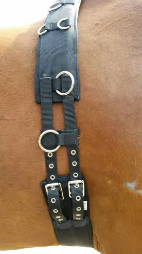 Longiergurt 16 Ringe f. Doppellonge geeignet Pony VB WB Neopren Gurt