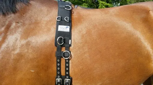 Longiergurt 16 Ringe f. Doppellonge geeignet Pony VB WB Neopren Gurt