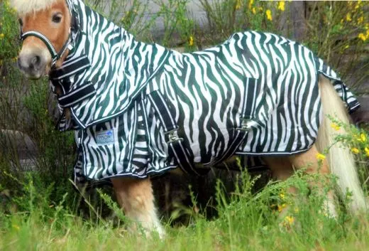 Fliegendecke ZEBRA mit Halsteil 60 70 75 80 85 90 95 100 cm R�ckenl�nge Schwarz Wei� Minishetty Shetty