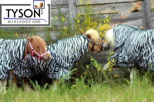 Fliegendecke ZEBRA mit Halsteil 60 70 75 80 85 90 95 100 cm R�ckenl�nge Schwarz Wei� Minishetty Shetty