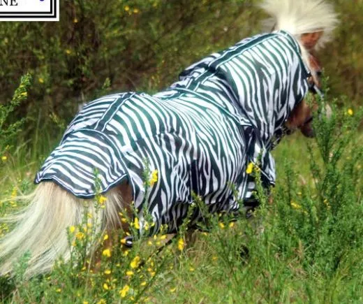 Fliegendecke ZEBRA mit Halsteil 60 70 75 80 85 90 95 100 cm R�ckenl�nge Schwarz Wei� Minishetty Shetty