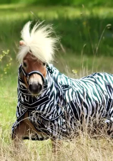 Fliegendecke ZEBRA mit Halsteil 60 70 75 80 85 90 95 100 cm R�ckenl�nge Schwarz Wei� Minishetty Shetty