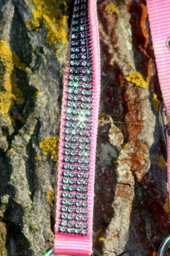 Halfter Hilly Glitzer Minishetty Baby Rosa Minishetty Shetty Pony VB WB X Full Nylonhalfter Glitzerhalfter