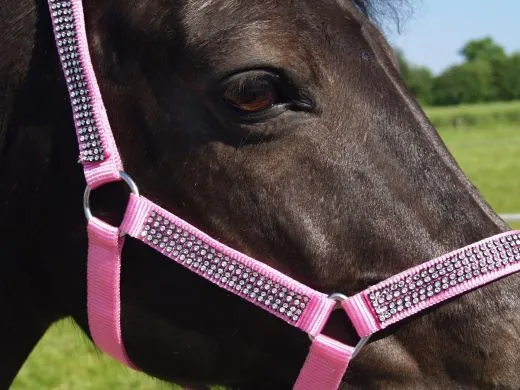 Halfter Hilly Glitzer Minishetty Baby Rosa Minishetty Shetty Pony VB WB X Full Nylonhalfter Glitzerhalfter