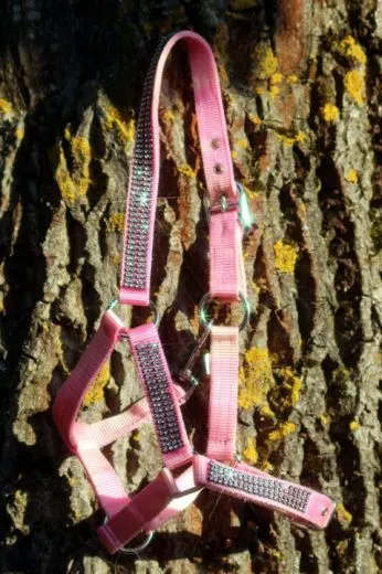 Halfter Hilly Glitzer Minishetty Baby Rosa Minishetty Shetty Pony VB WB X Full Nylonhalfter Glitzerhalfter