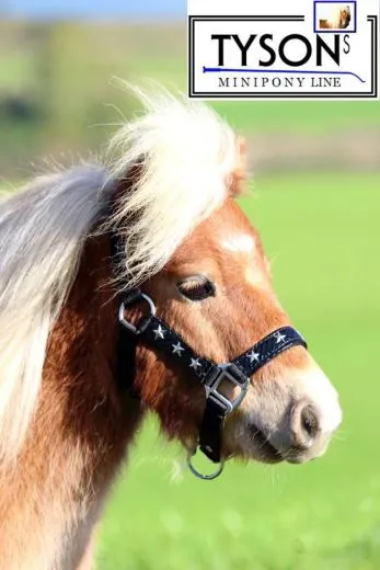 Halfter Stars Schwarz Lack Sterne Pony VB WB ExFULL XFULL Nylonhalfter