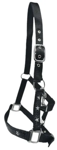 Halfter Stars Schwarz Lack Sterne Pony VB WB ExFULL XFULL Nylonhalfter