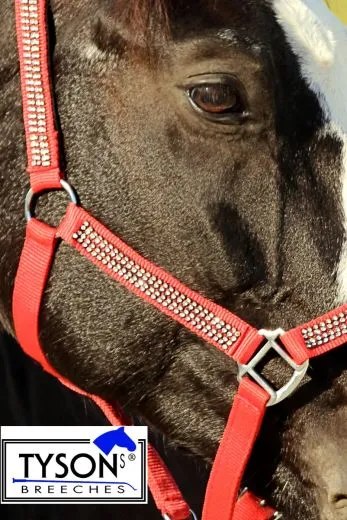 Halfter Hilly Nylon ROT GLITZER ! Minishetty Shetty Pony VB WB X Full Glitzerhalfter Nylonhalfter