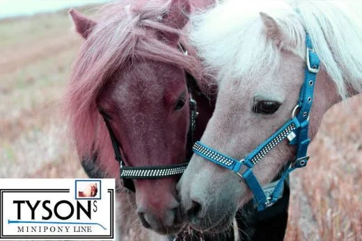 Halfter Hilly Nylon Hellblau GLITZER Shetty Pony Minishetty Shetty Pony VB WB XFull Glitzerhalfter