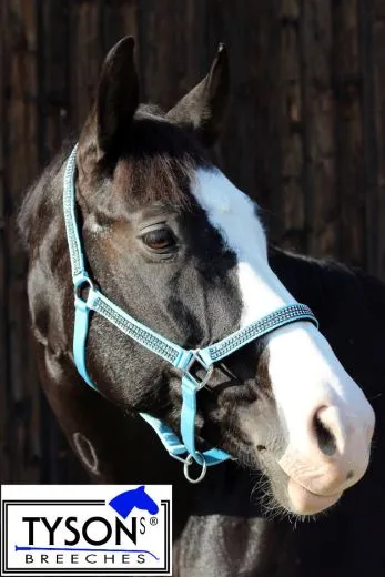 Hilly Halfter Nylon Hellblau GLITZER Minishetty Shetty Pony VB WB XF Nylonhalfter