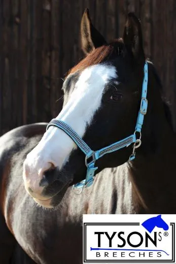 Hilly Halfter Nylon Hellblau GLITZER Minishetty Shetty Pony VB WB XF Nylonhalfter