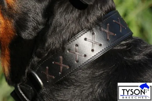 Hundehalsband Leder Zierstich Schwarz Braun M L XL BREIT Kreuz Halsband Leder Zierkreuz Lederhalsband Zierstick