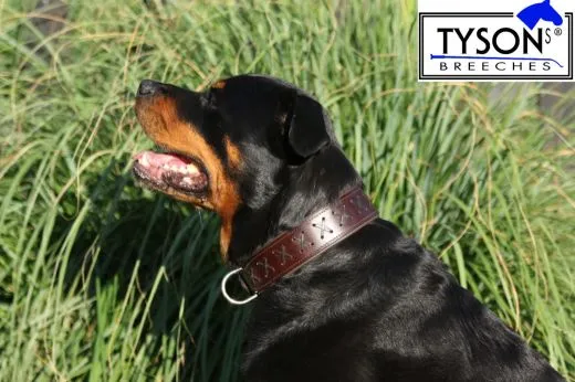 Hundehalsband Leder Zierstich Schwarz Braun M L XL BREIT Kreuz Halsband Leder Zierkreuz Lederhalsband Zierstick