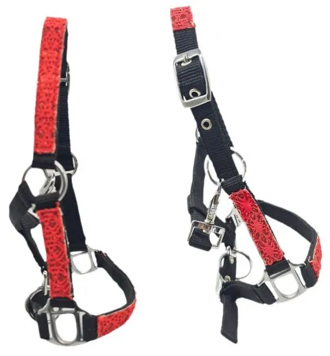 Nylon Halfter Fancy Glitzer Schwarz Rot MMS Minishetty Shetty Mini Shetty Fohlen Fohlenhalfter Glitzerhalfter Nylonhalfter