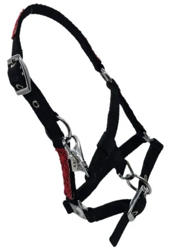 Nylon Halfter Fancy Glitzer Schwarz Rot MMS Minishetty Shetty Mini Shetty Fohlen Fohlenhalfter Glitzerhalfter Nylonhalfter