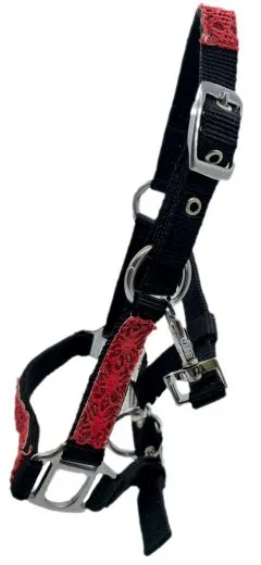 Nylon Halfter Fancy Glitzer Schwarz Rot MMS Minishetty Shetty Mini Shetty Fohlen Fohlenhalfter Glitzerhalfter Nylonhalfter