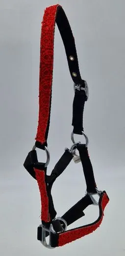 Nylon Halfter Fancy Glitzer Schwarz Rot MMS Minishetty Shetty Mini Shetty Fohlen Fohlenhalfter Glitzerhalfter Nylonhalfter