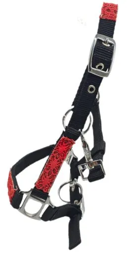 Nylon Halfter Fancy Glitzer Schwarz Rot MMS Minishetty Shetty Mini Shetty Fohlen Fohlenhalfter Glitzerhalfter Nylonhalfter