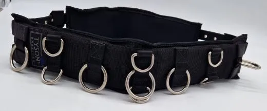 Longiergurt Longier Gurt 16 Ringe f. Doppellonge geeignet Minishetty / Shetty nur 10 cm Schwarz